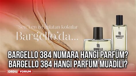 bargello 111 bayan hangi parfüm muadili